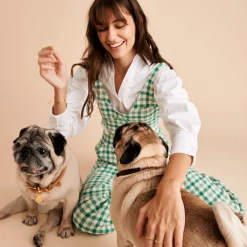 P D PAOLA Letter A Pet Charm