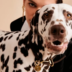 P D PAOLA Letter B Pet Charm