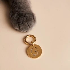 P D PAOLA Letter K Pet Charm
