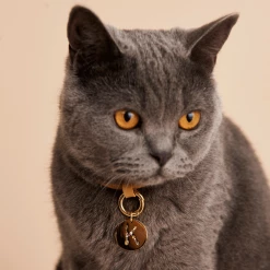 P D PAOLA Letter K Pet Charm