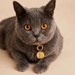 P D PAOLA Letter K Pet Charm