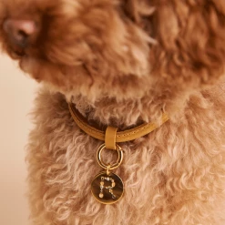 P D PAOLA Letter R Pet Charm