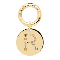 P D PAOLA Letter R Pet Charm