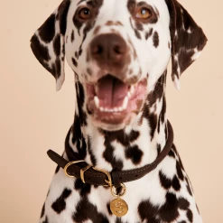 P D PAOLA PET CHARMS Letter S Pet Charm