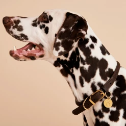 P D PAOLA PET CHARMS Letter S Pet Charm