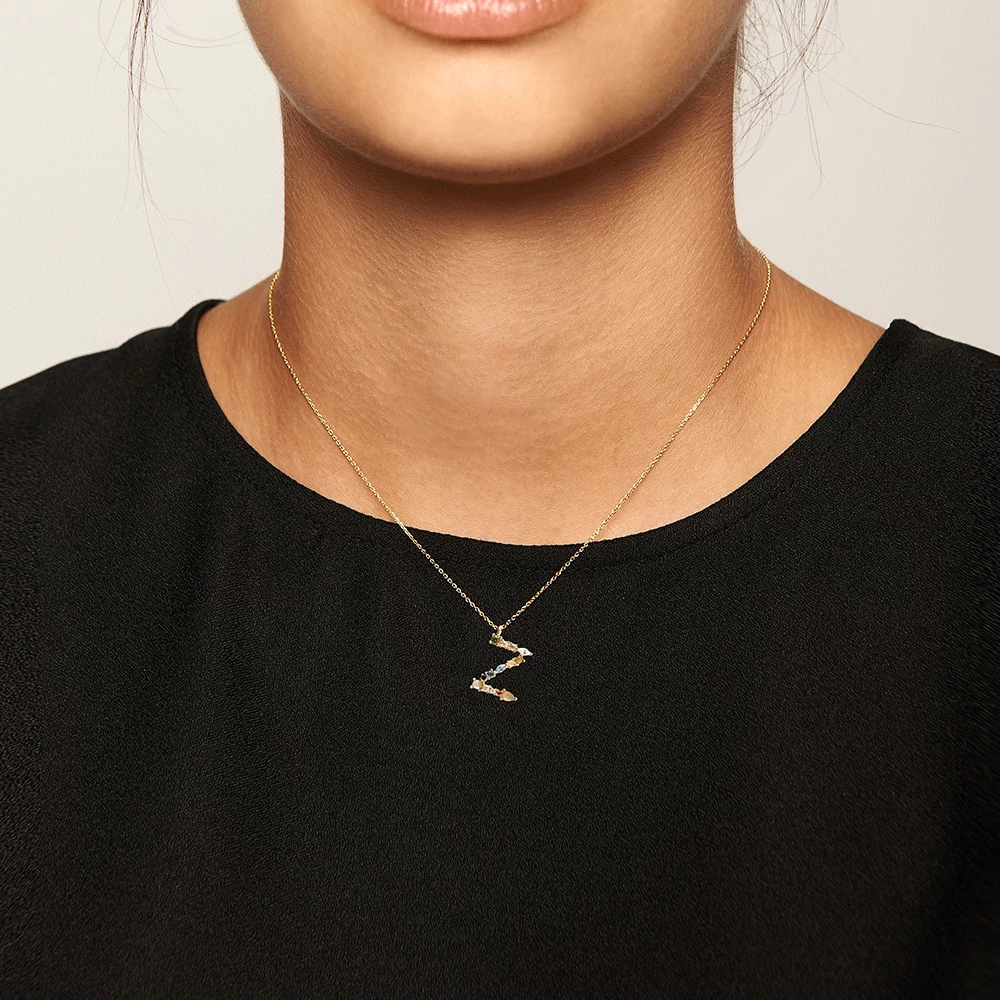 P D PAOLA ACCESSORIES Letter Z Necklace 2 P D PAOLA ACCESSORIES Letter Z Necklace